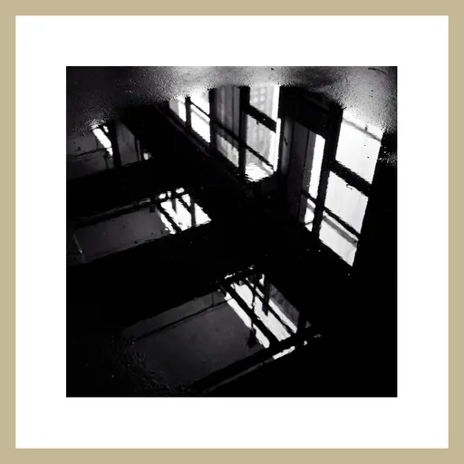 Geometrie der Reflexion