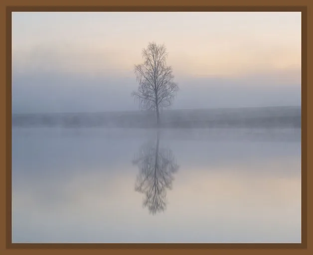 Spiegelnder Nebel